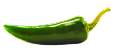 Cabai