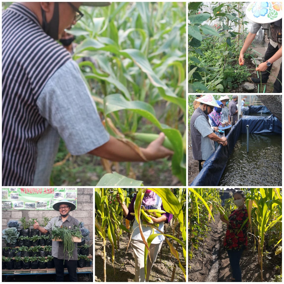 Paket Corporate Outbound Pertanian