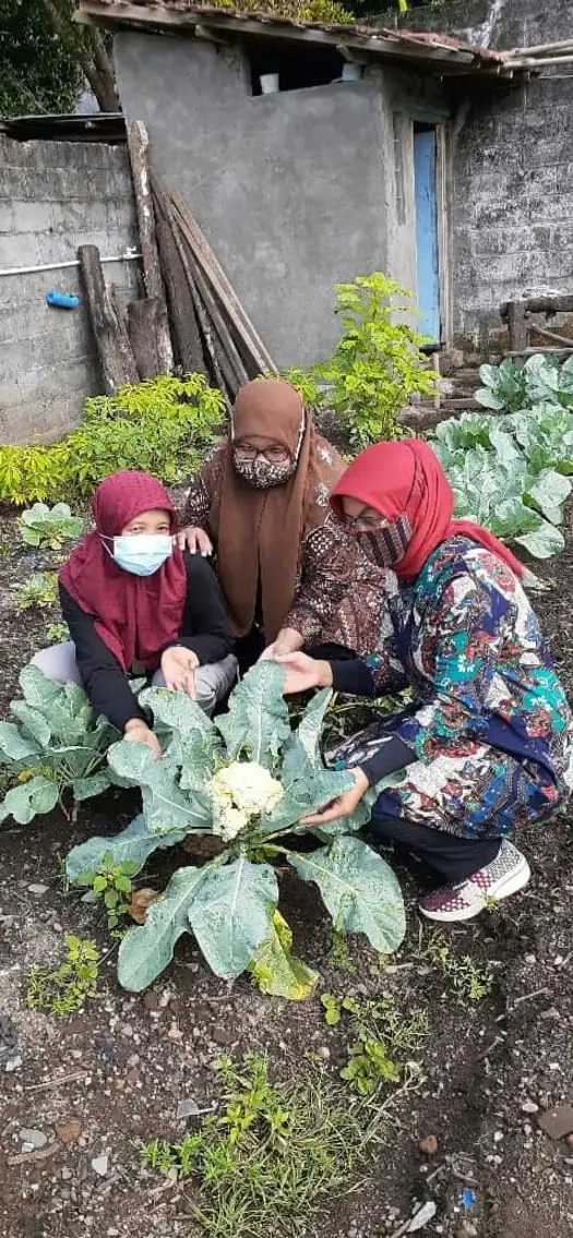 Paket Workshop Pengolahan Hasil Pertanian