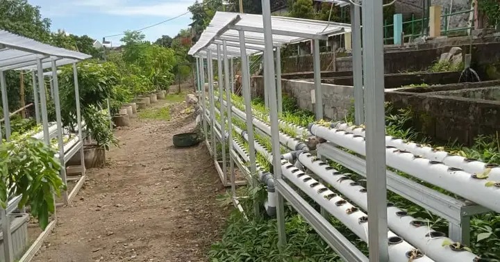 Lahan Hidroponik