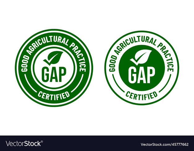 Sertifikasi GAP (Good Agricultural Practice)