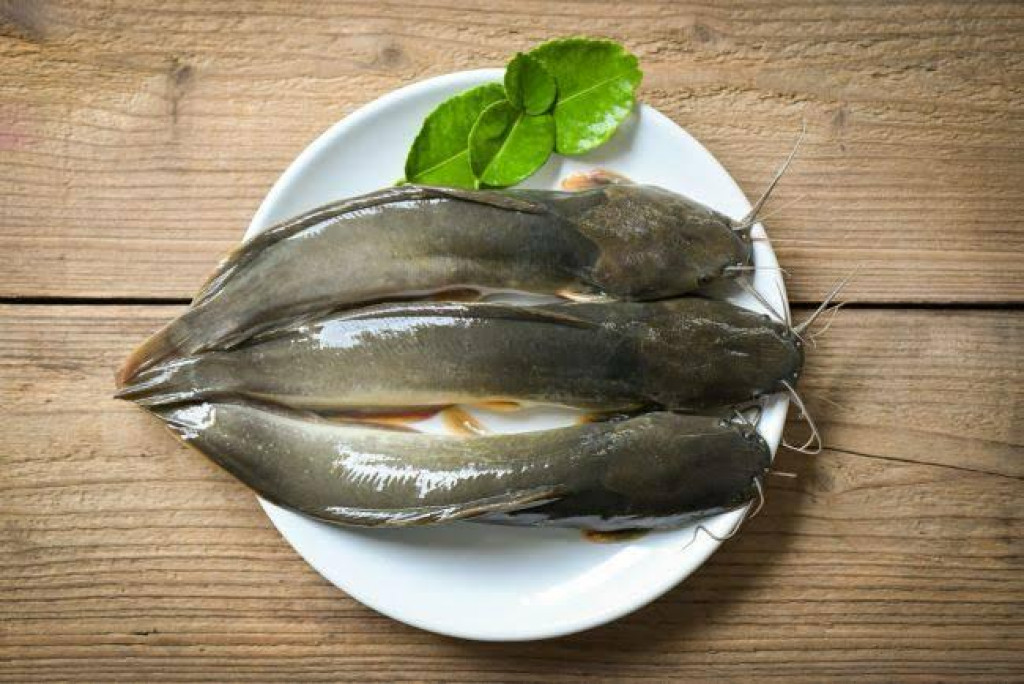 Ikan Lele