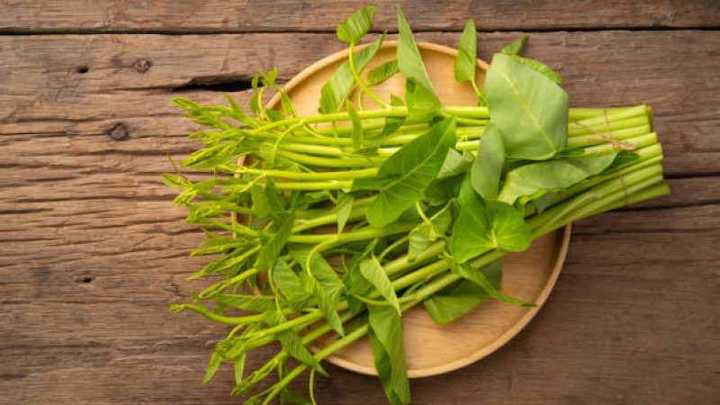 Daun Singkong