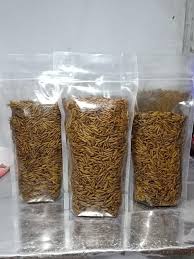 Maggot Kering